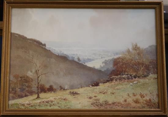 Elliot H. Marten (Exh.1866-1901) Sheep on the downs 19 x 27in.